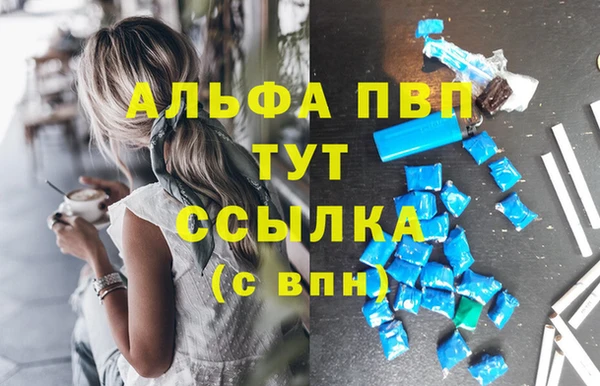 гидра Алзамай