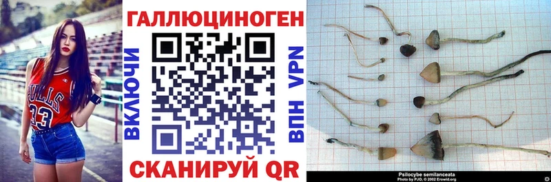 МЕГА ссылка  купить  цена  Грязовец  Псилоцибиновые грибы Cubensis 